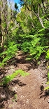 Plants: image 104 Of 208 Thumb